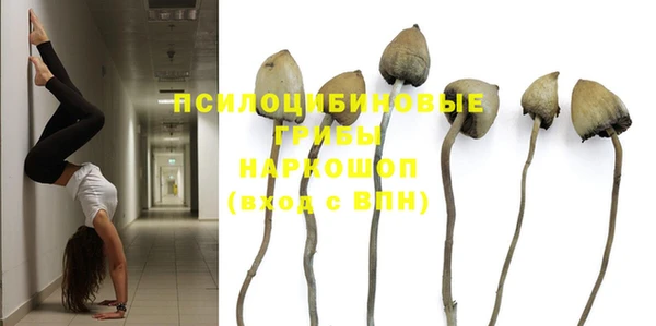 дмт Балабаново
